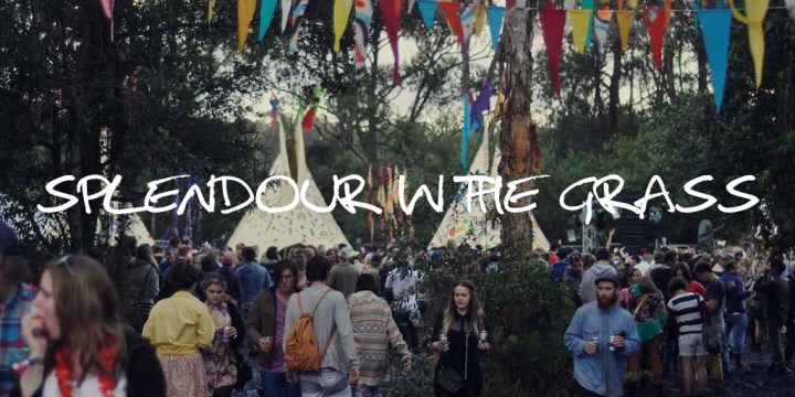 SPLENDOUR IN THE GRASS