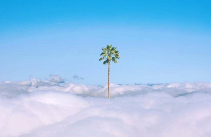 Friday Favourites: 5 April&nbsp;2019